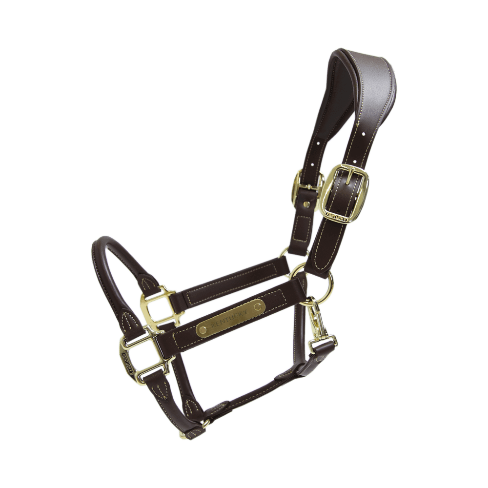 Leather anatomic halter - Brown