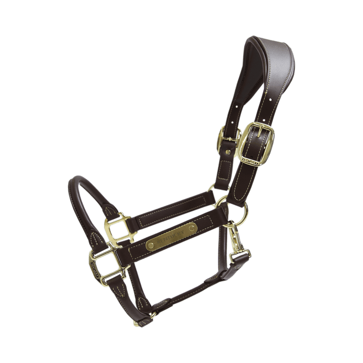 Leather anatomic halter - Brown