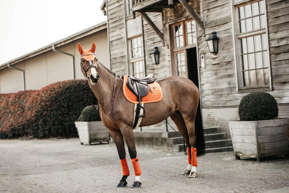 Fly veil Wellington velvet - Orange