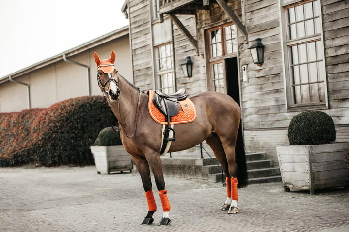 Fly veil Wellington velvet - Orange