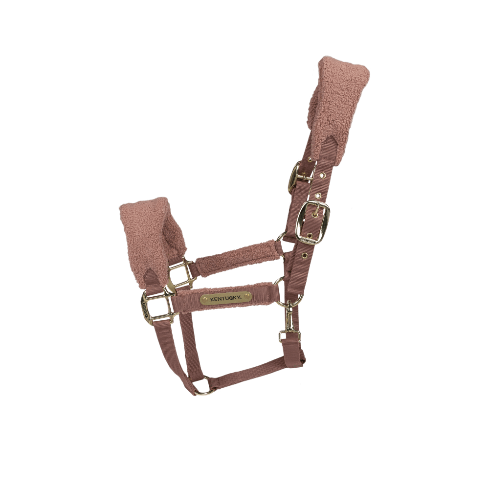 Teddy Fleece halter - Old rose