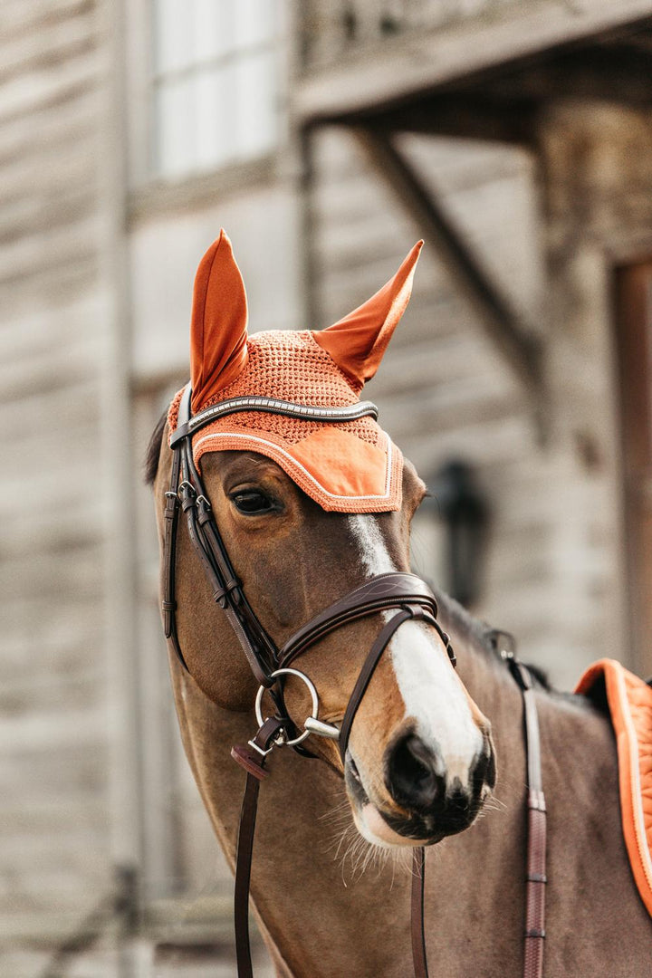 Fly veil Wellington velvet - Orange