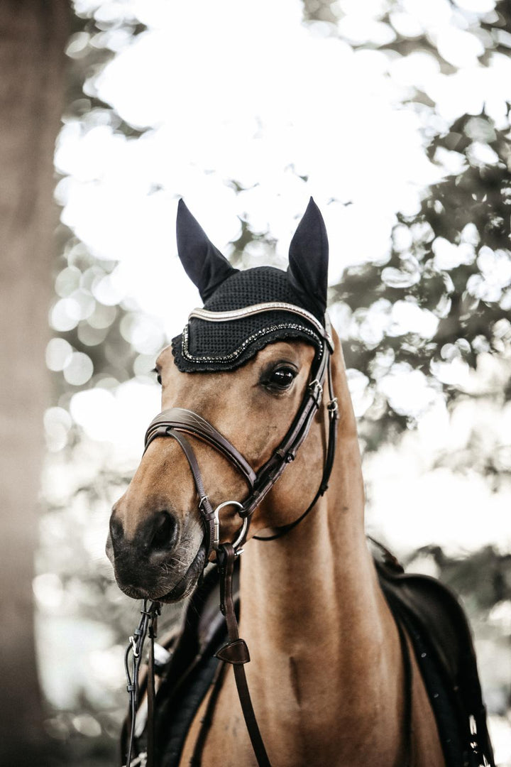 Fly veil Wellington stone &amp; pearl - Black
