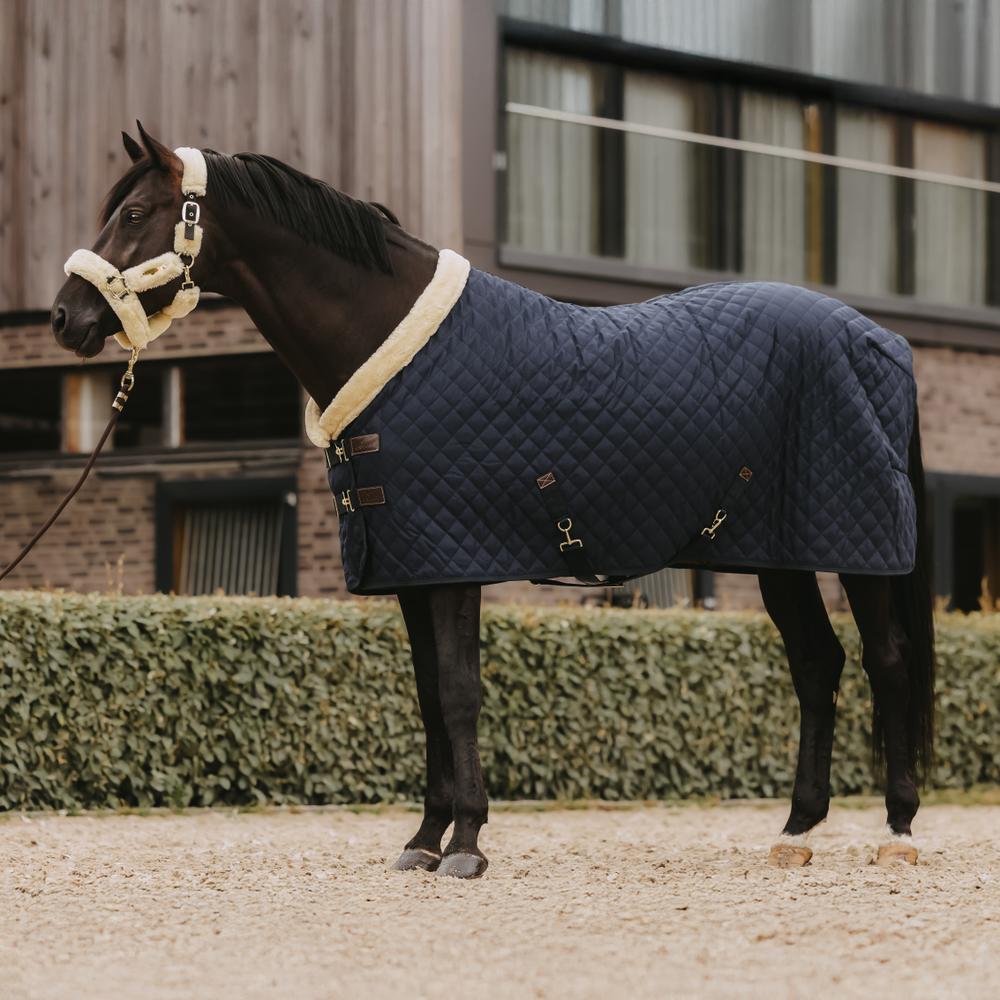 Show rug - Navy