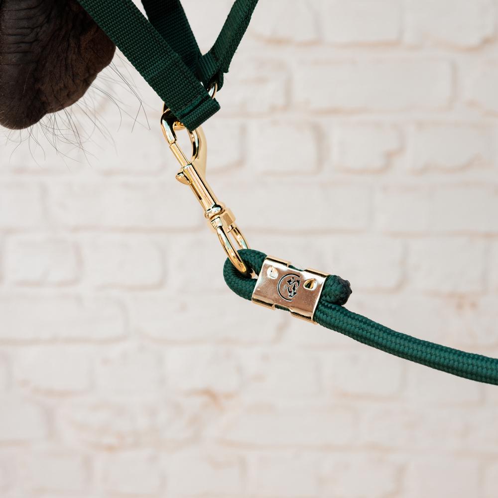 Lead rope basic - Pine green
