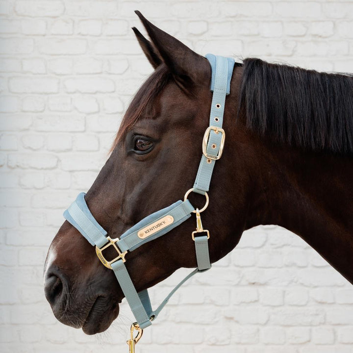 Velvet halter - Light blue