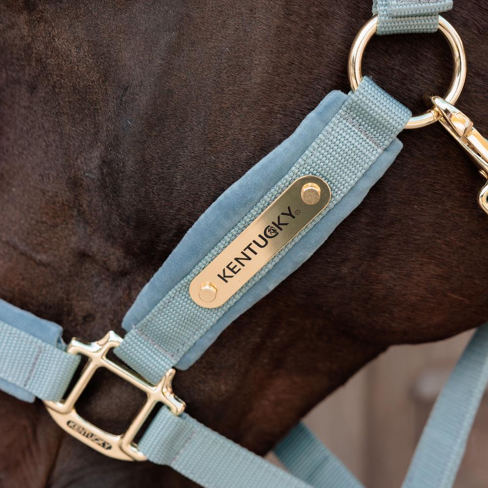 Velvet halter - Light blue