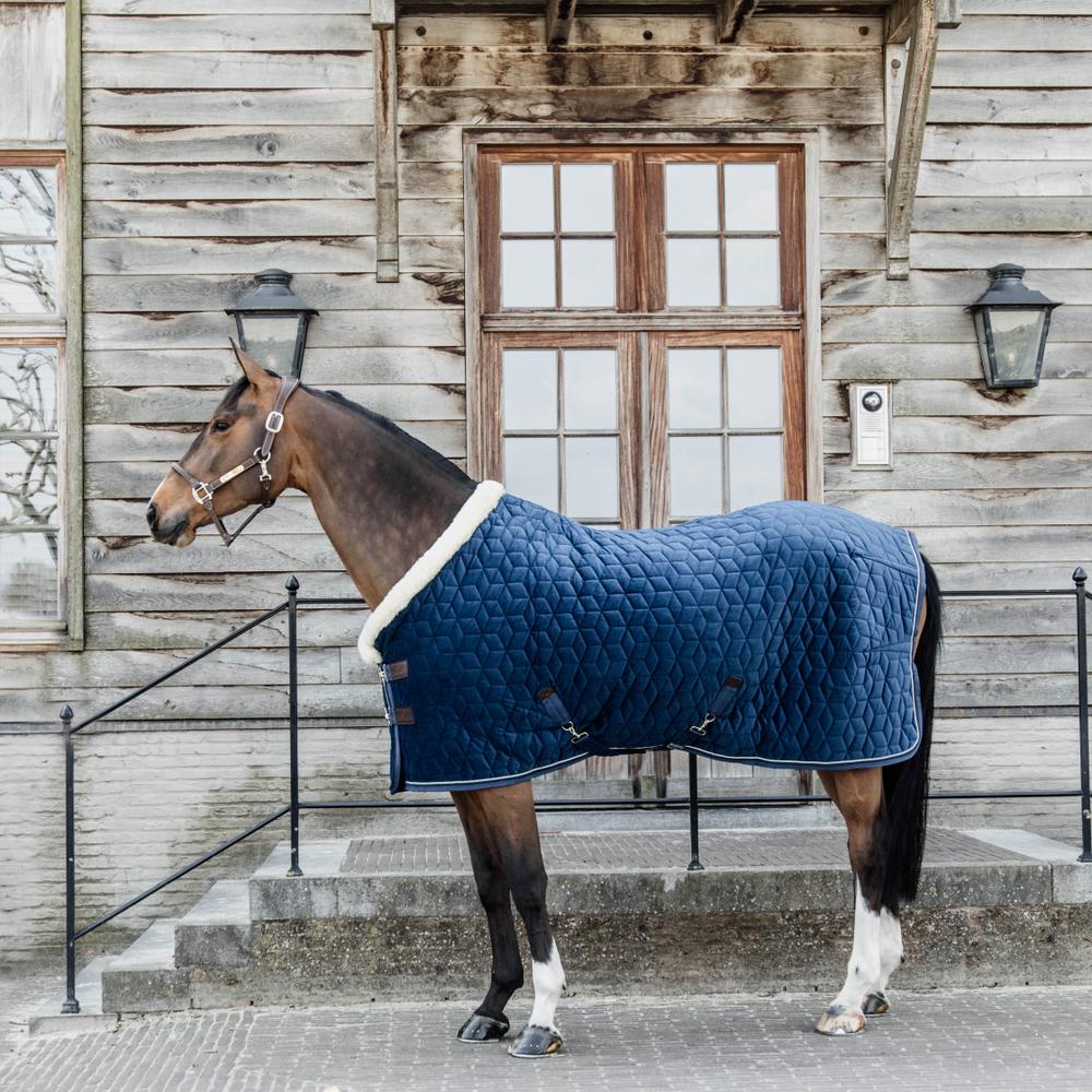 Show rug Velvet - Navy