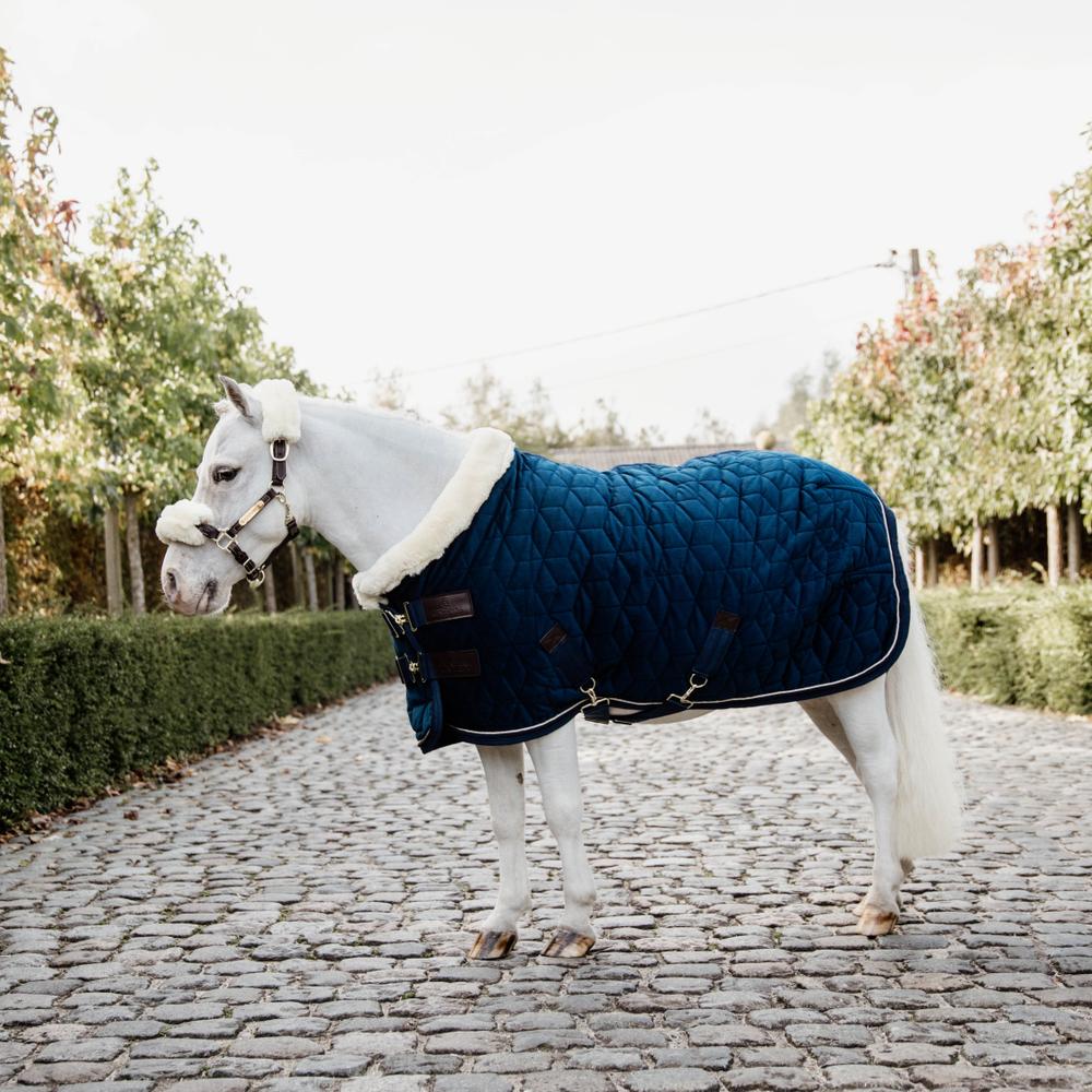 Show rug Velvet - Navy