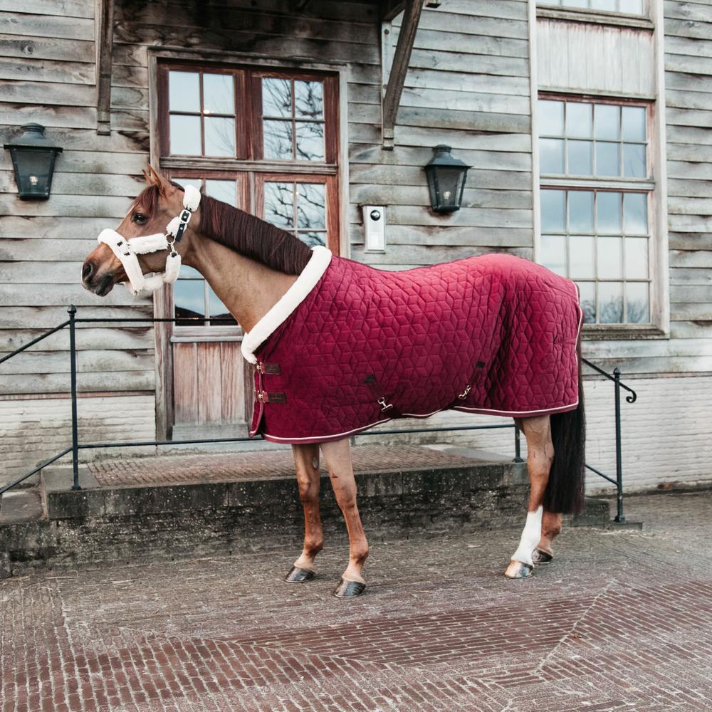 Show rug Velvet - Navy