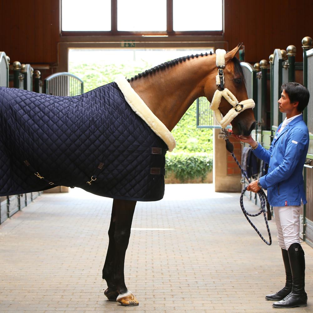 Show rug - Navy