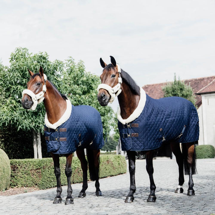 Show rug - Navy