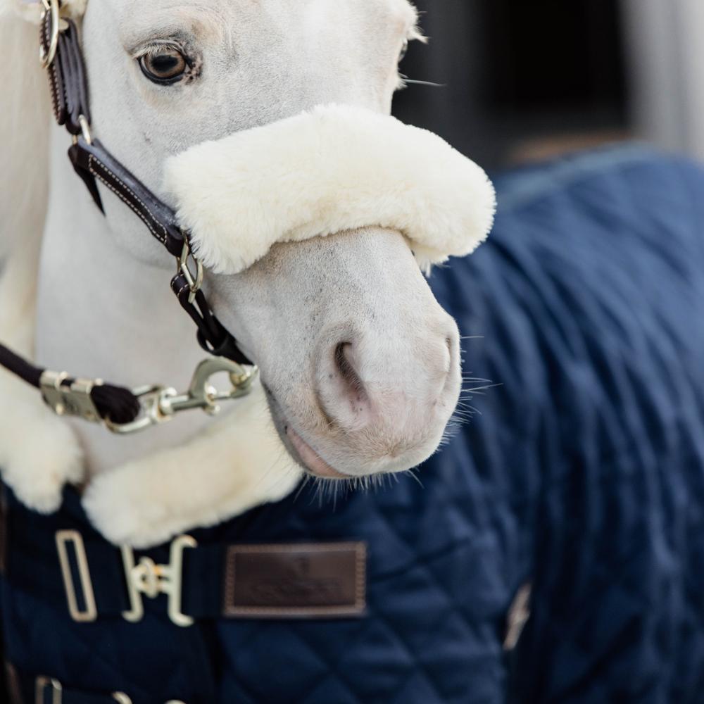 Show rug - Navy