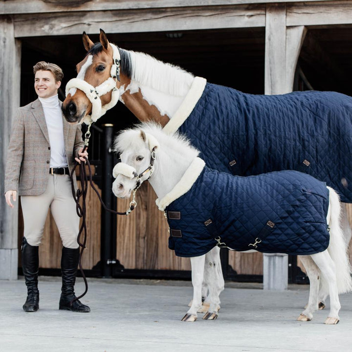 Show rug - Navy