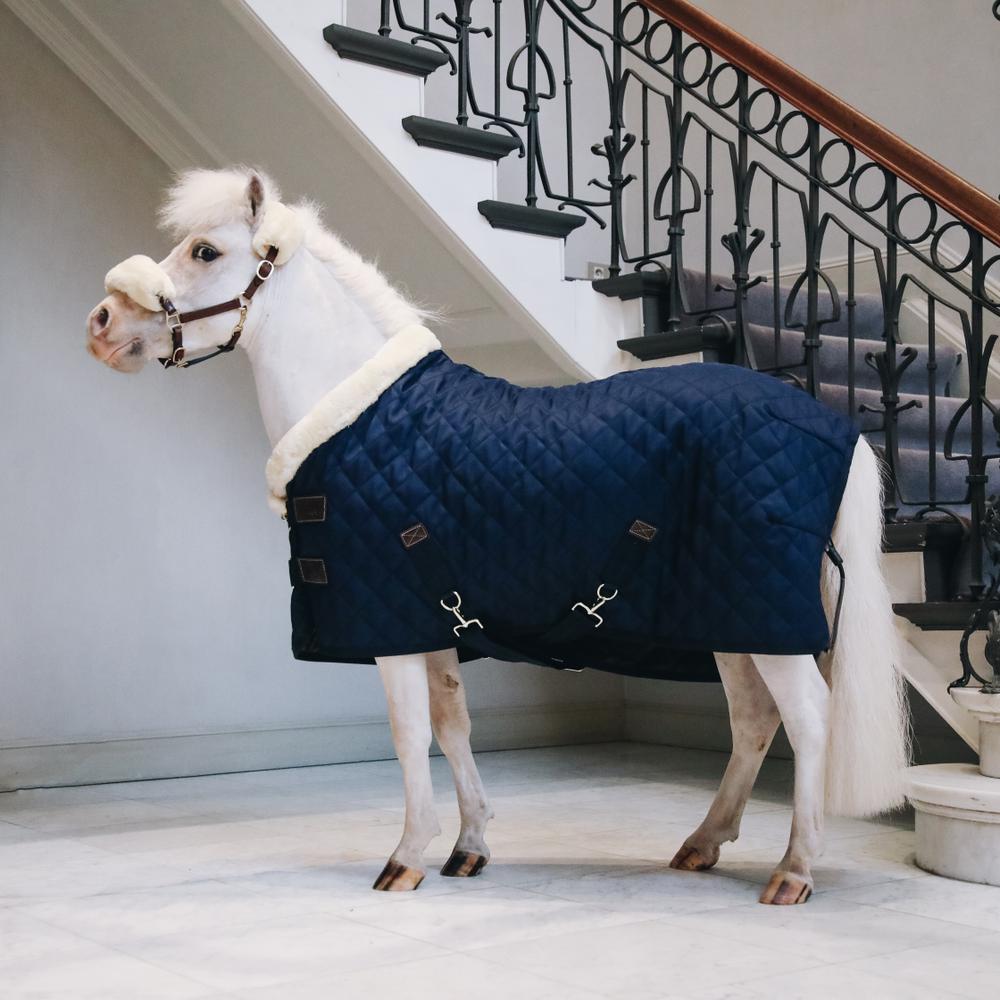 Show rug - Navy