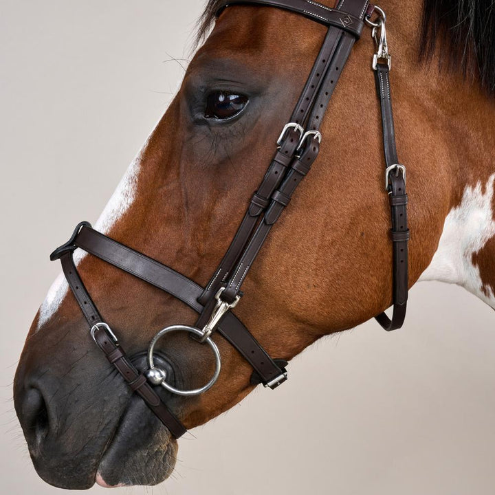 Flat Leather Bridle With Snap Hooks - Brown