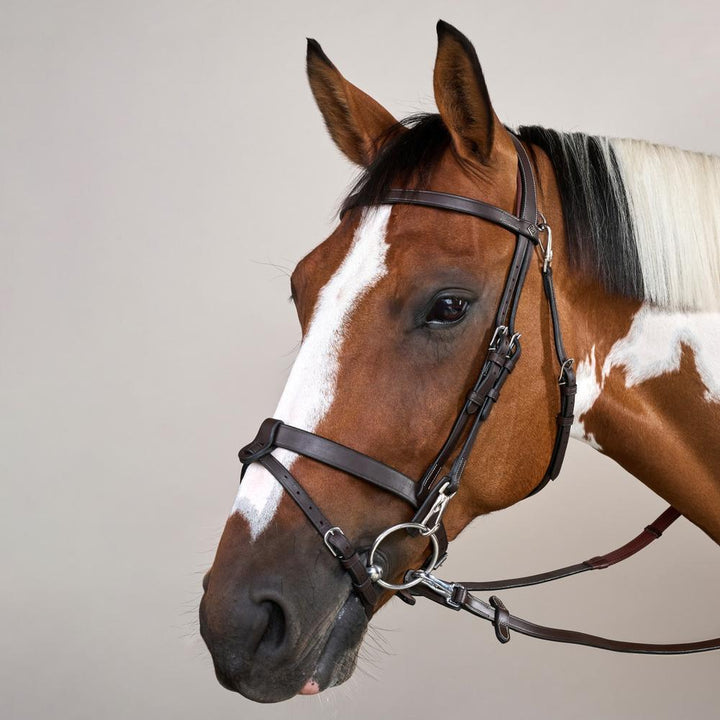 Flat Leather Bridle With Snap Hooks - Brown