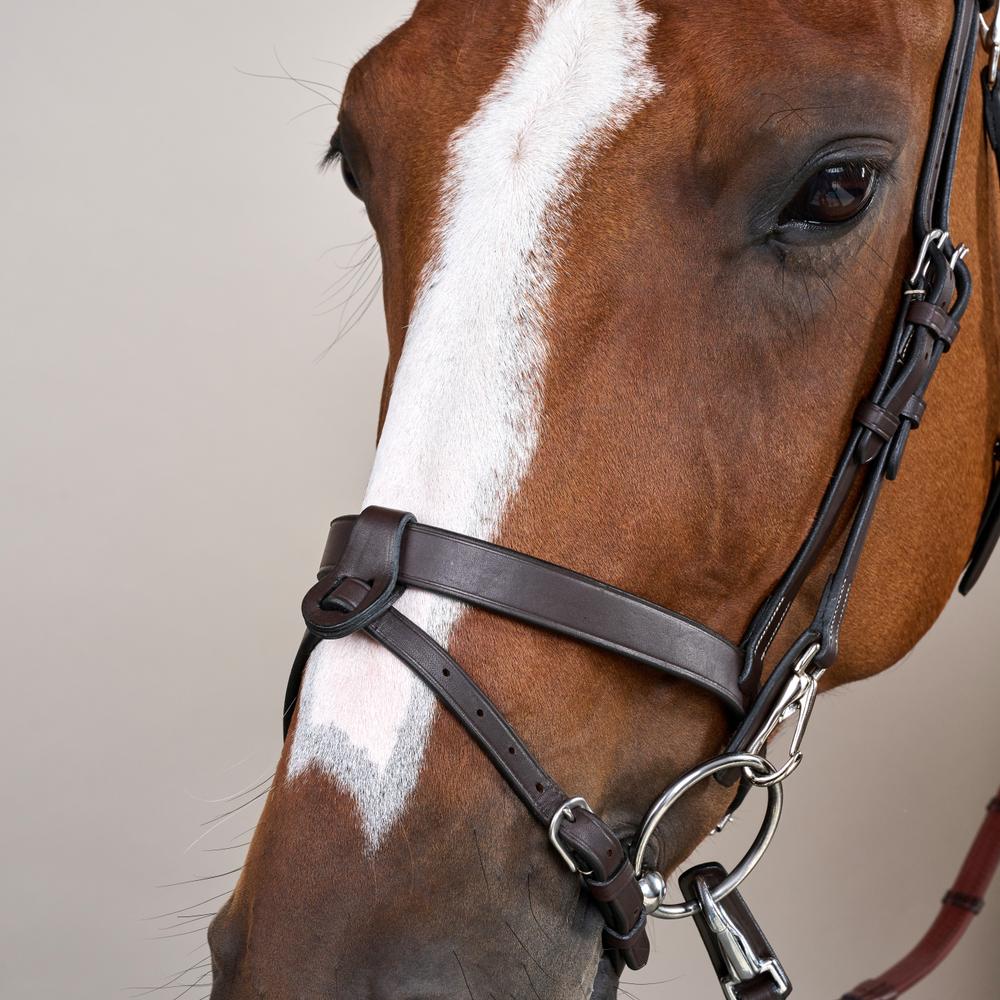 Flat Leather Bridle With Snap Hooks - Brown