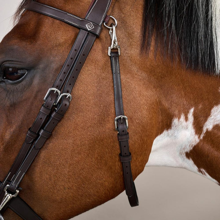 Flat Leather Bridle With Snap Hooks - Brown