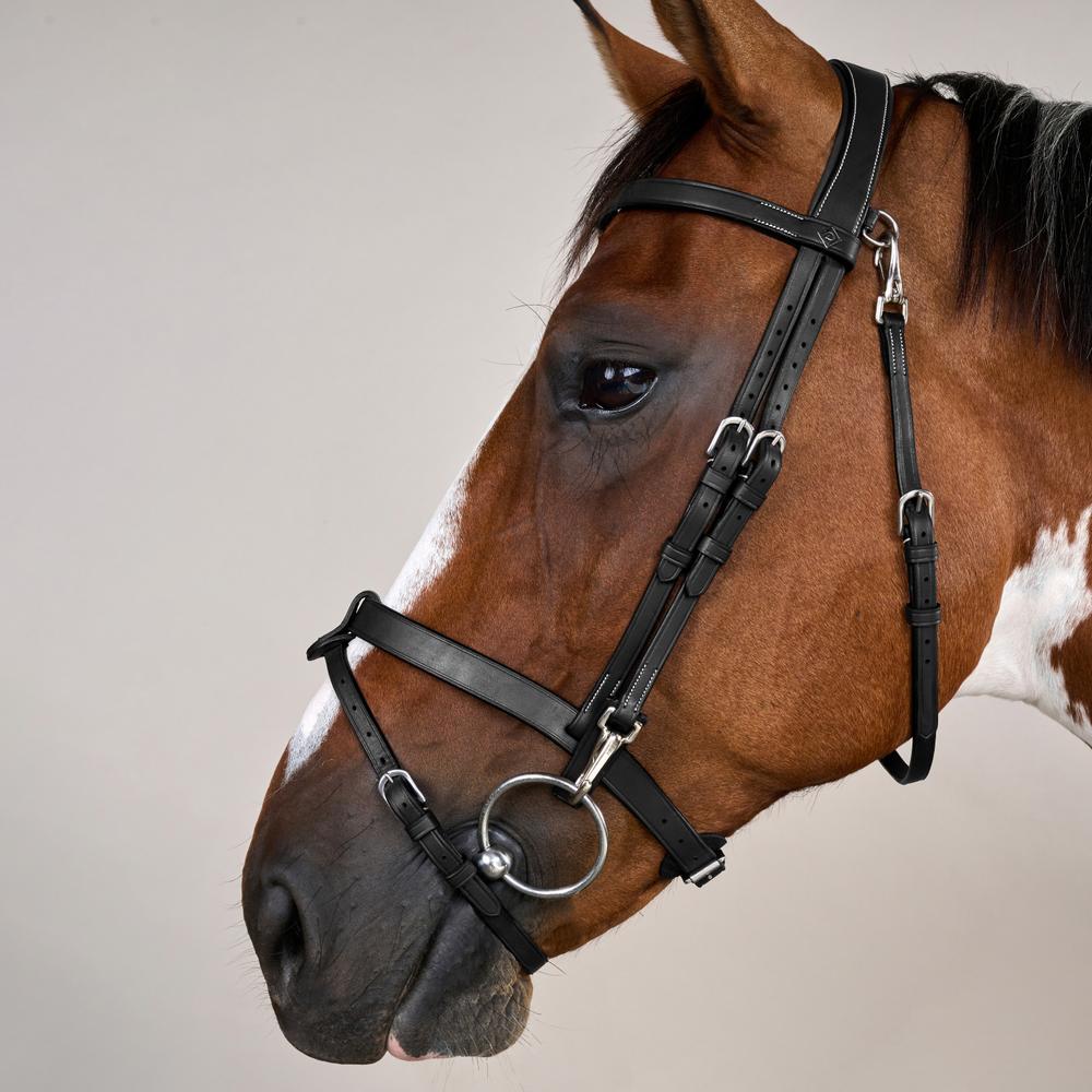 Flat Leather Bridle With Snap Hooks - Black