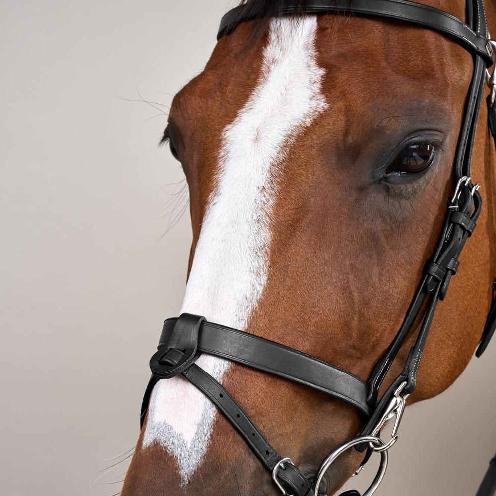 Flat Leather Bridle With Snap Hooks - Black