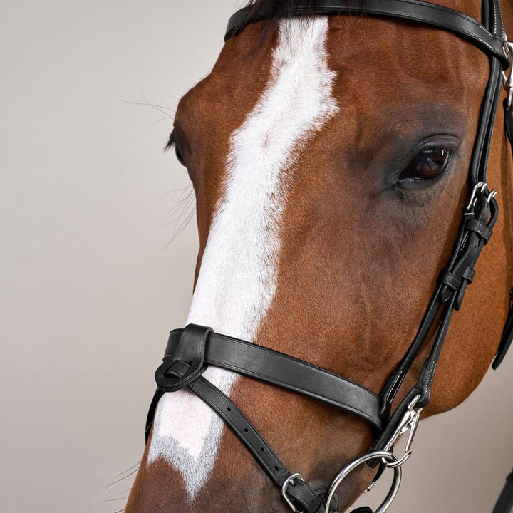 Flat Leather Bridle With Snap Hooks - Black