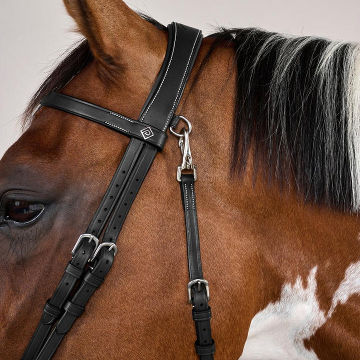 Flat Leather Bridle With Snap Hooks - Black