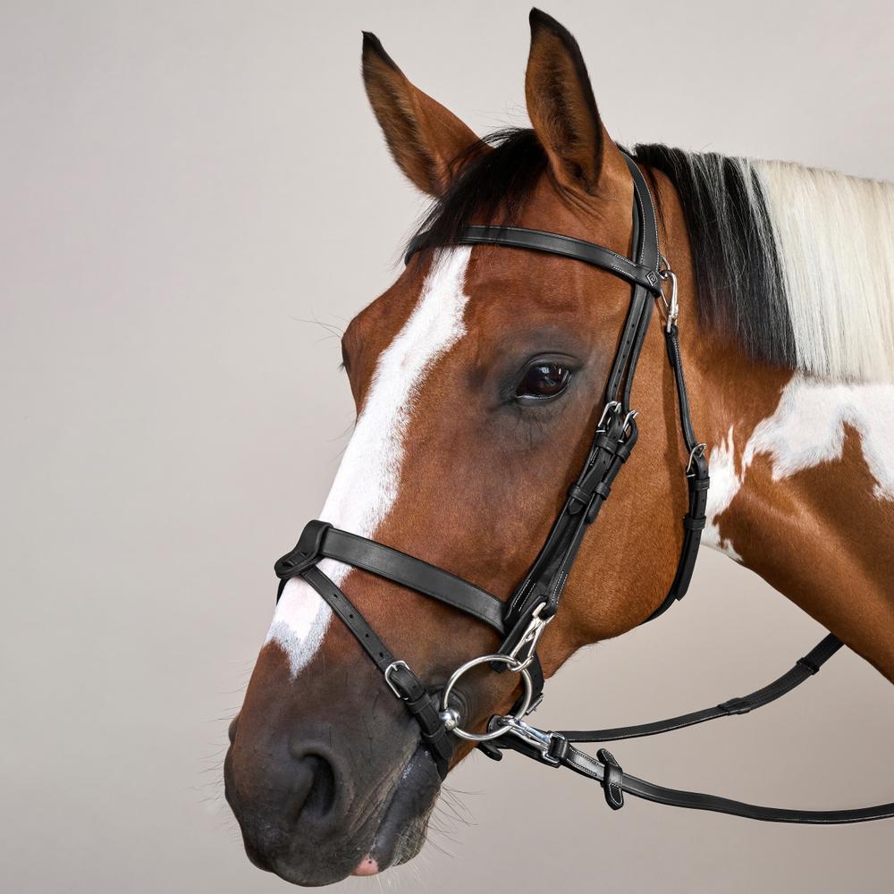 Flat Leather Bridle With Snap Hooks - Black