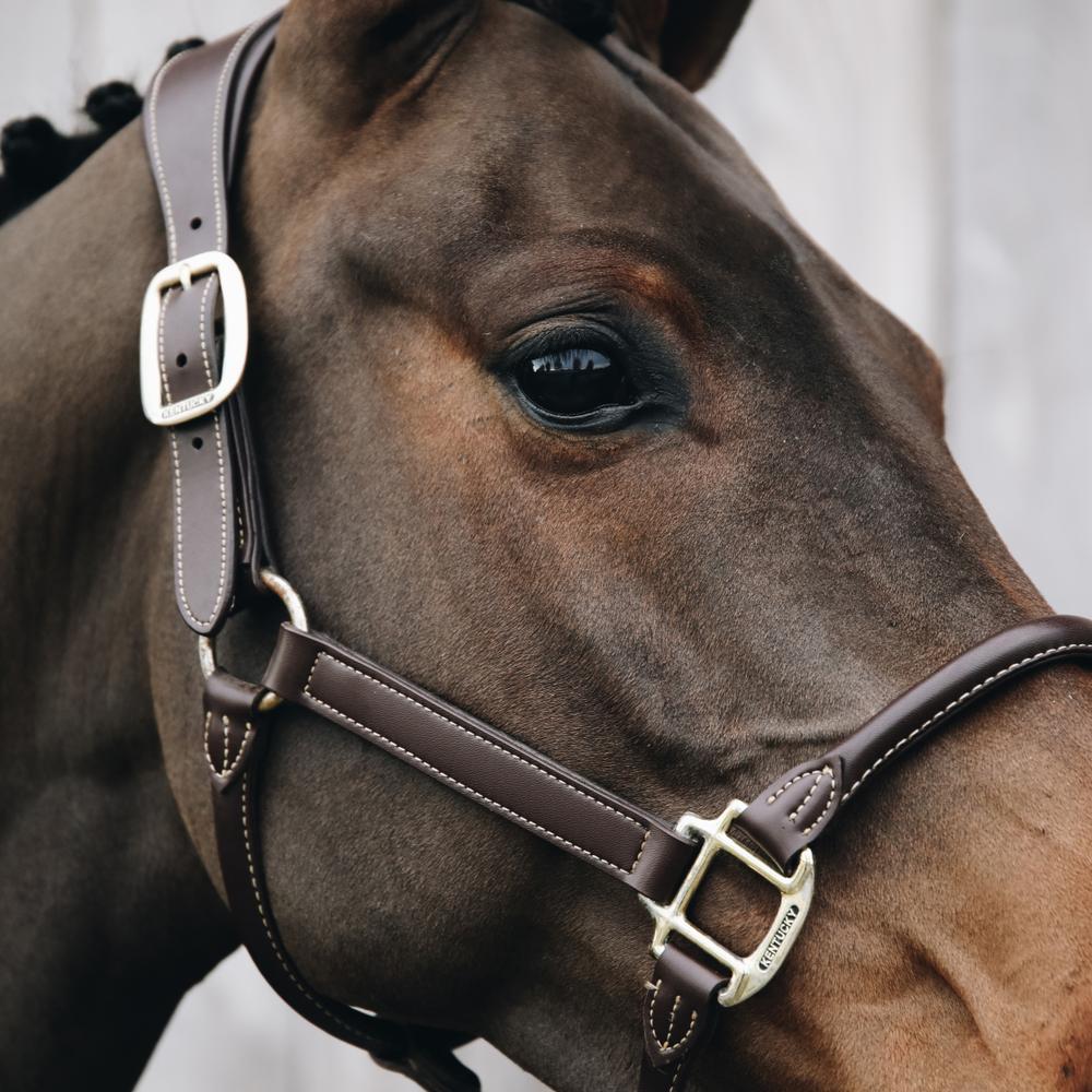 Leather anatomic halter - Brown