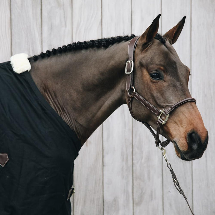Leather anatomic halter - Brown