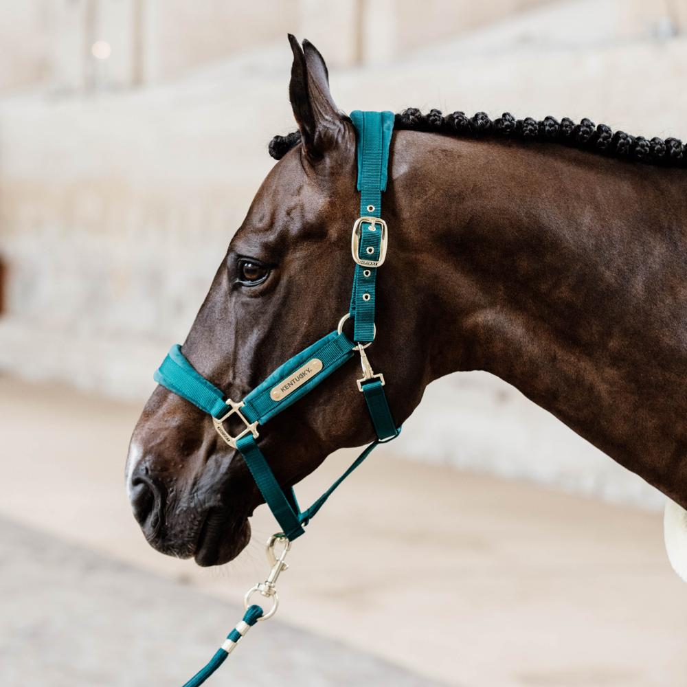 Lead rope basic - Emerald