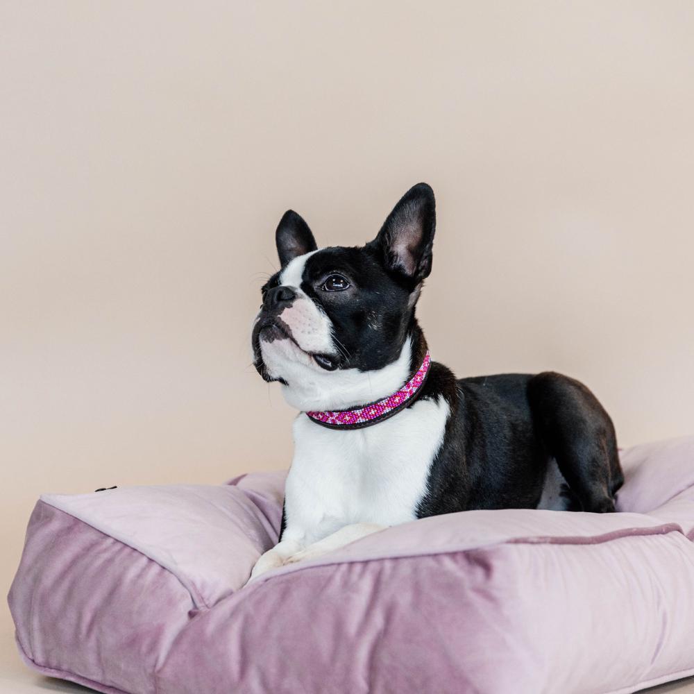 Dog collar handmade pearls - Pink