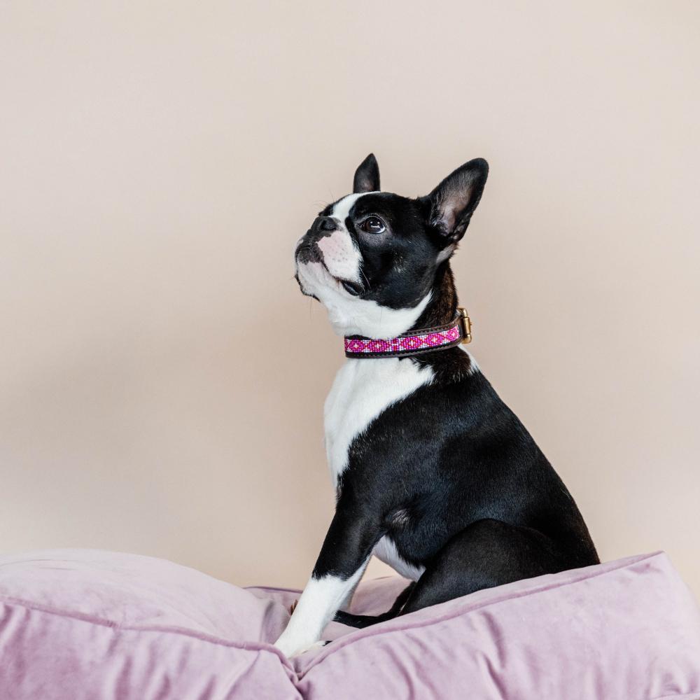 Dog collar handmade pearls - Pink
