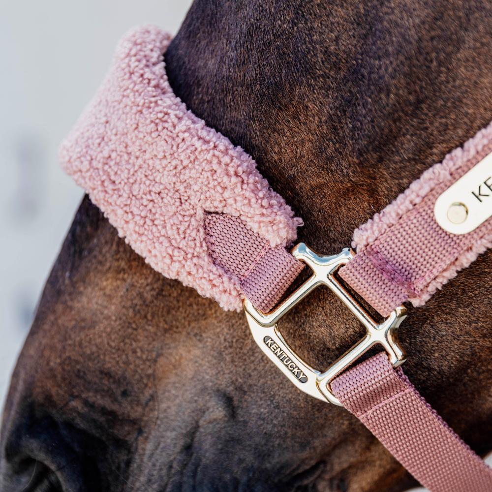 Teddy Fleece halter - Old rose