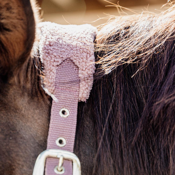 Teddy Fleece halter - Old rose