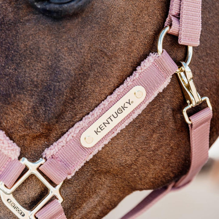 Teddy Fleece halter - Old rose