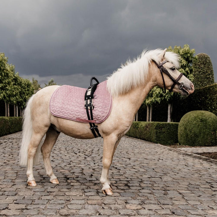 Saddle Pad velvet - Old rose