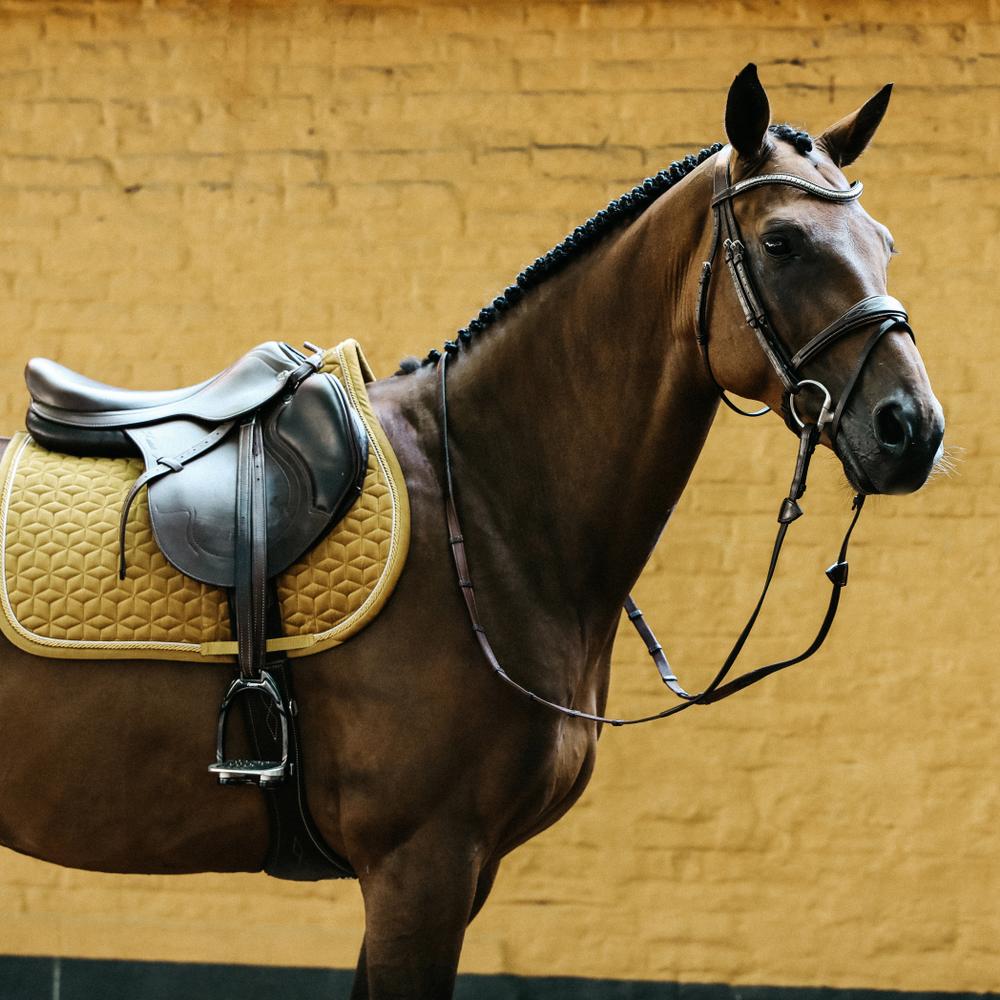 Saddle Pad velvet - Mustard