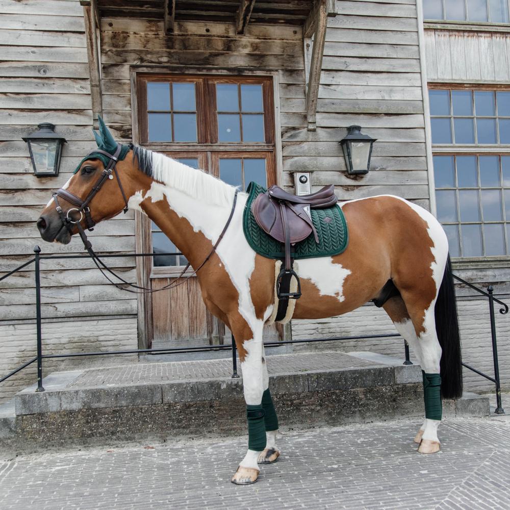 Saddle Pad velvet pearls - Pine green
