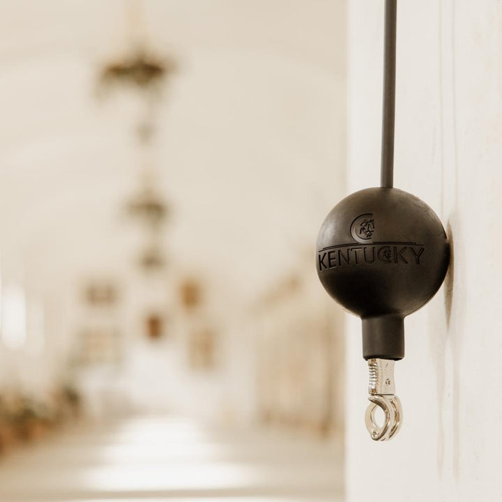 Lead &amp; Wall protection rubber ball - Black