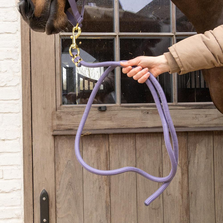 Lead rope basic - Purple