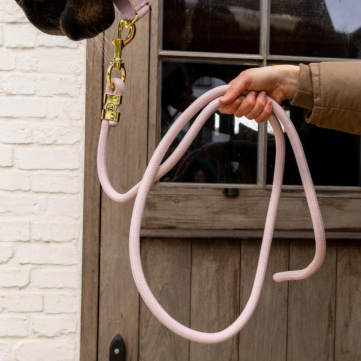Lead rope basic - Soft rose