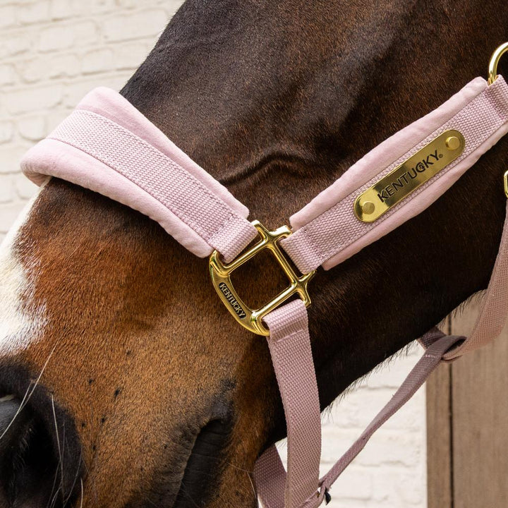 Velvet halter - Soft rose