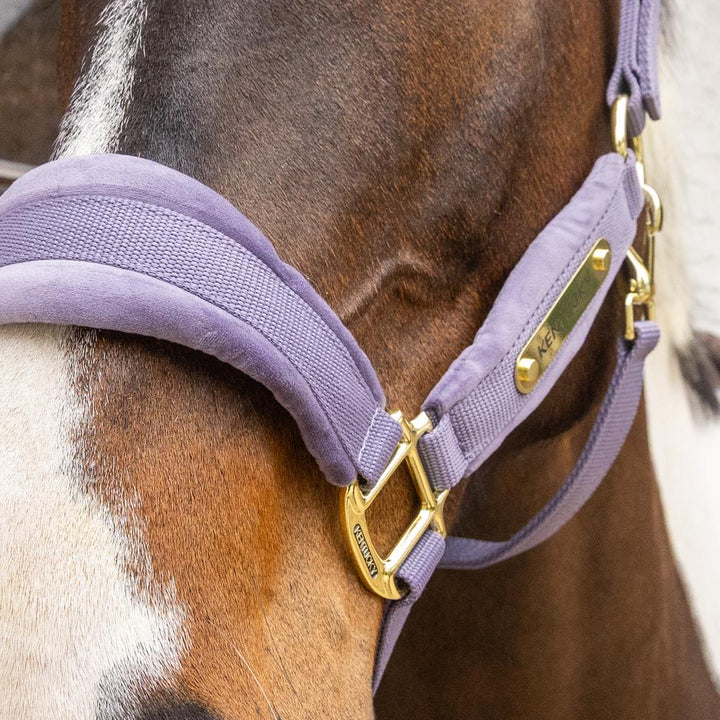 Velvet halter - Purple
