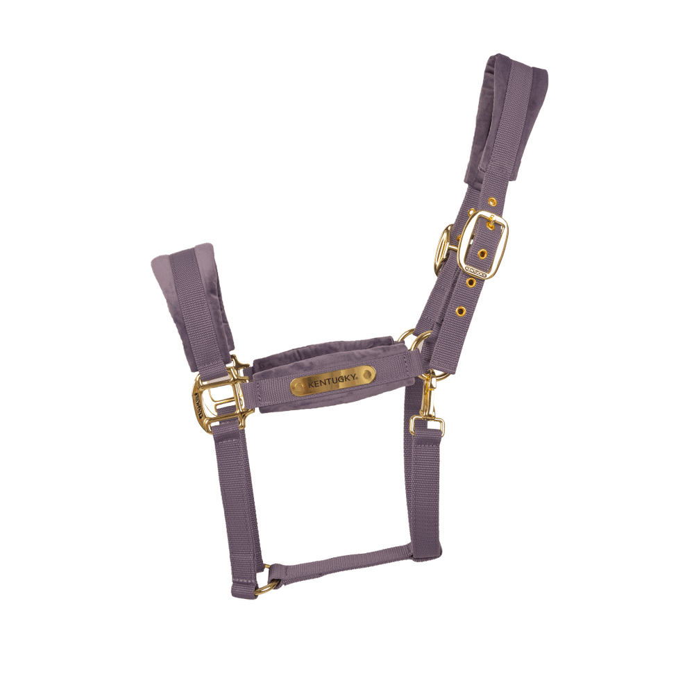 Velvet halter - Purple