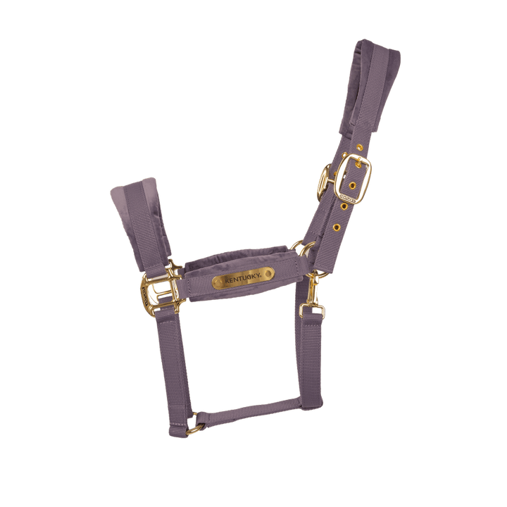 Velvet halter - Purple