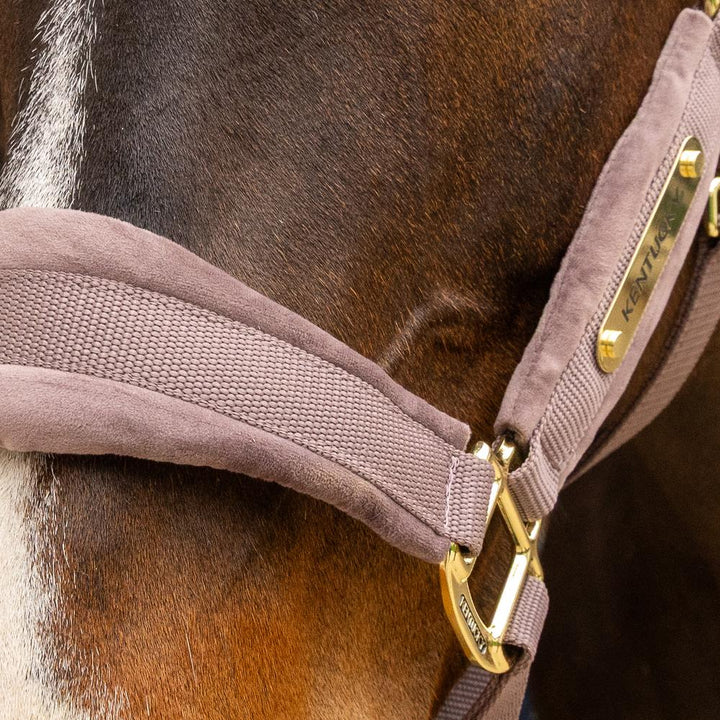 Velvet halter - Light purple