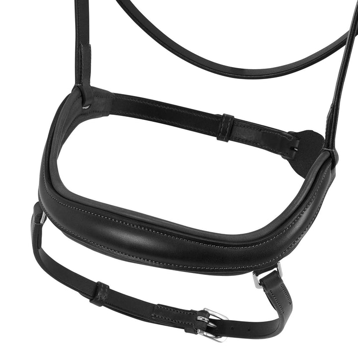 Allegoria anatomic bridle