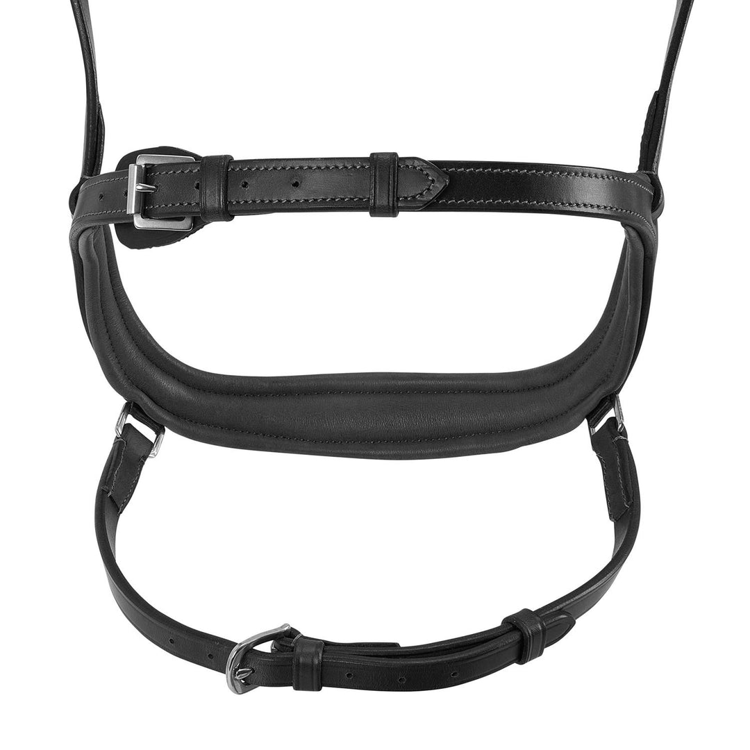 Allegoria anatomic bridle
