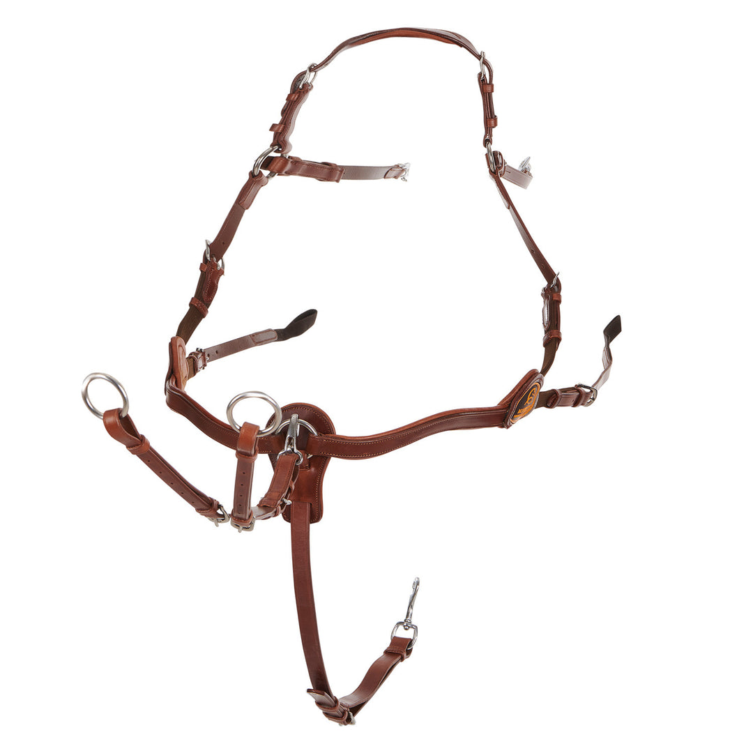 Five-point breastplate calfskin COGNAC